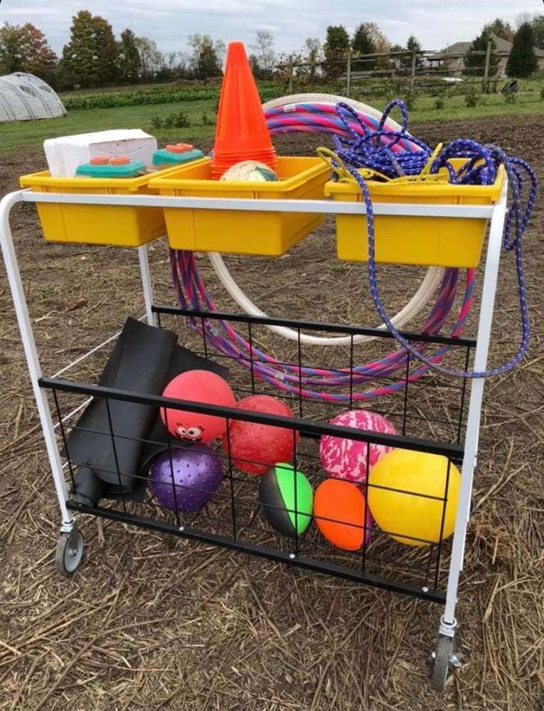 Phys Ed Cart - Image 4